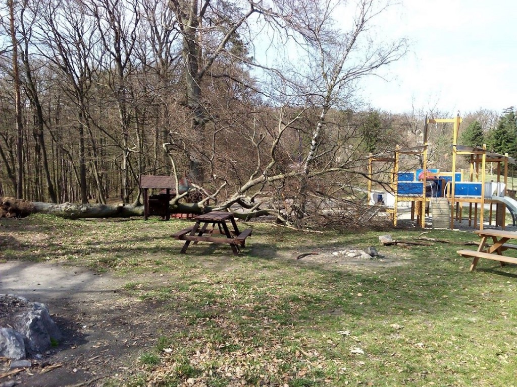 Na detské ihrisko sa zrútil asi 10 metrový strom v čase, keď sa tam hralo aj dieťa.