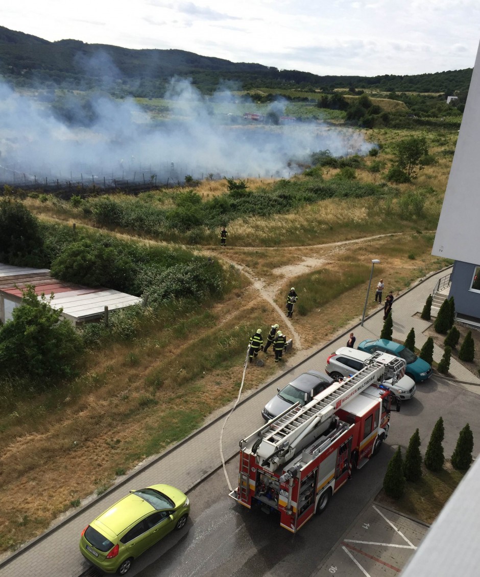 Dvom hasičským autám muselo prísť na pomoc v boji s požiarom tretie, stojí prí obytnom súbore Hroznový sad.