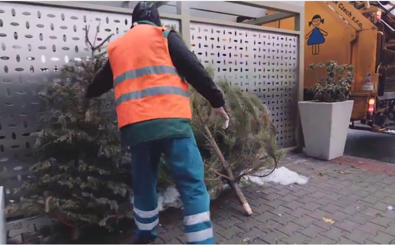 OLO: Zber vianočných stromčekov sa v Bratislave začína 4. januára 2016